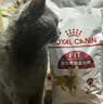 皇家猫粮 成猫猫粮 营养均衡 F32 通用粮 1-7岁 4.5KG【宠物金选】 实拍图