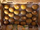 佳沛（zespri）新西兰金奇异果22粒巨大原箱146-175g猕猴桃水果礼盒 实拍图