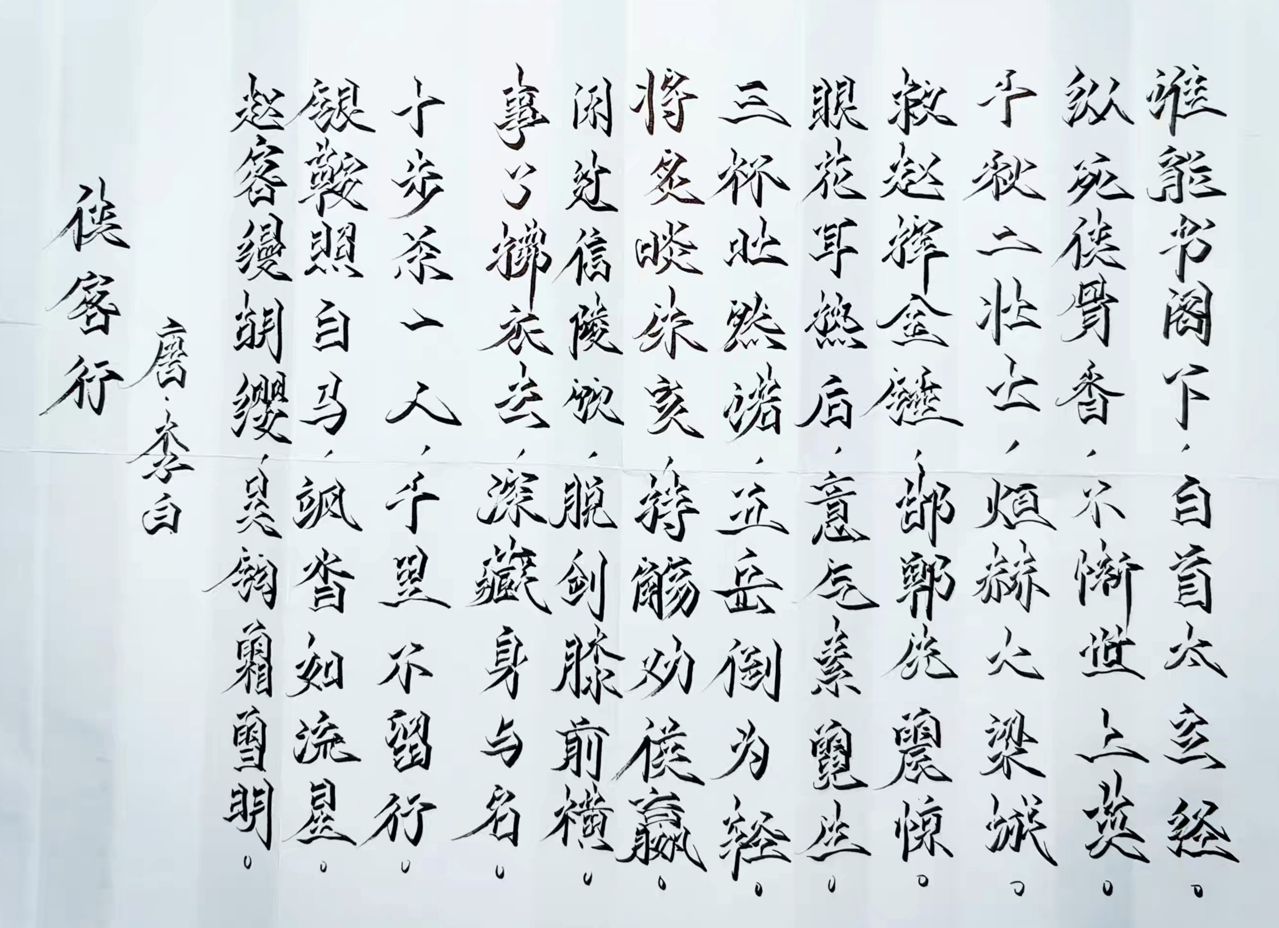 百乐（PILOT）彩色科学软毛笔 大容量墨液细头手绘软笔书法秀丽水笔SVFM-20EF-L EF咀蓝色 实拍图