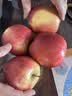 苹果先生Mr Apple 新西兰皇后红玫瑰苹果12粒礼盒 单果150g起 源头直发  实拍图