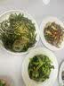 鲜项鲜冻大鱿鱼2-4条净重1.2斤 铁板鱿鱼烧烤火锅食材 海鲜生鲜 送礼 实拍图
