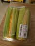 【火锅季】黄粒甜玉米约850g 实拍图