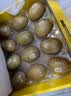 佳沛（zespri）新西兰金奇异果12粒特大果124-146g猕猴桃水果礼盒 实拍图
