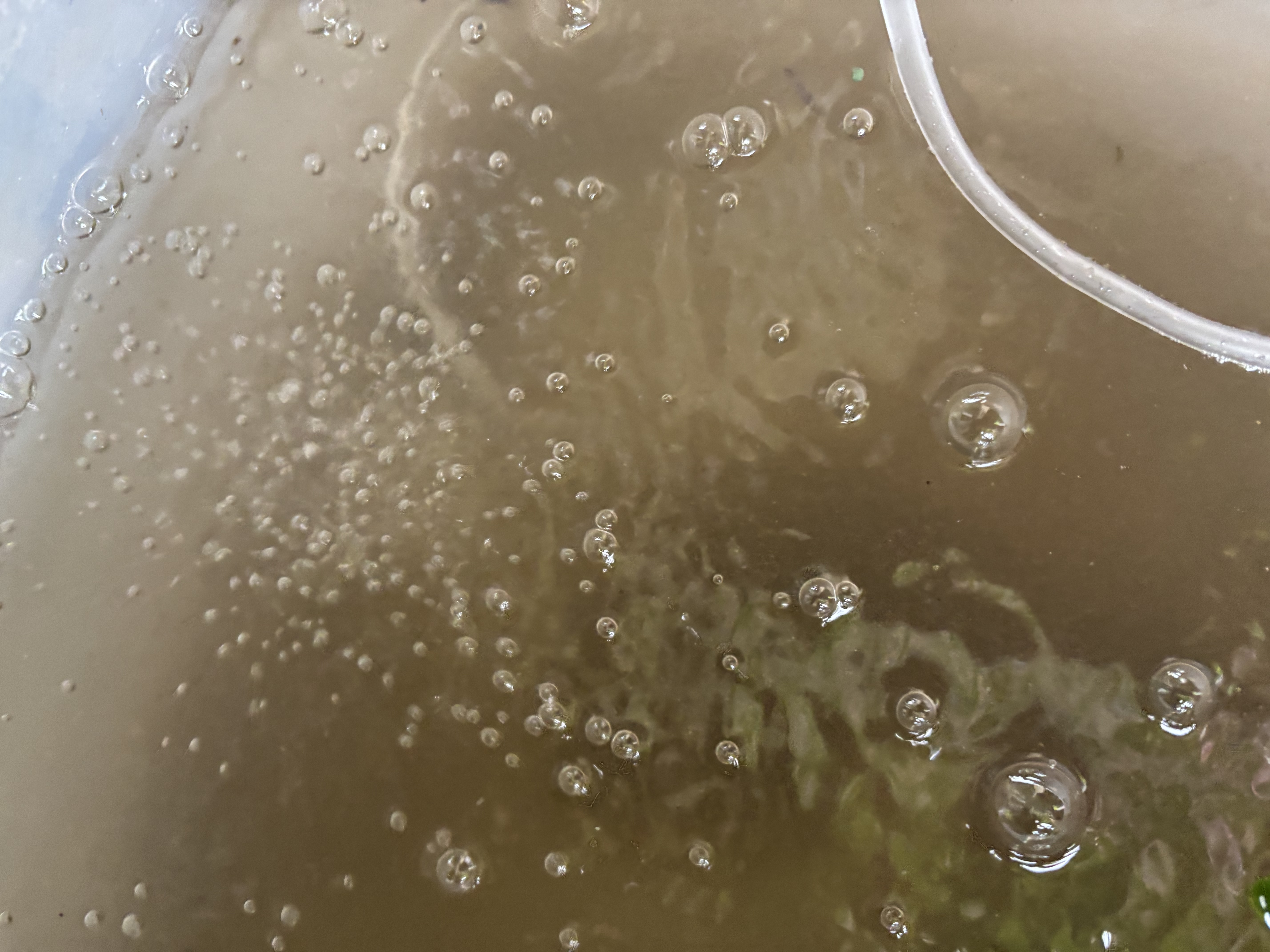 森森（SUNSUN）鱼缸增氧泵水族箱氧气泵家用小型充氧泵 【二代更静】4W双孔+全套配件 实拍图