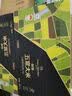 1号会员店特等五常大米200g*15【26年新米】稻花香2号充氮锁鲜GB/T19266 实拍图