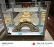鱼宁超白玻璃鱼缸造景缸金鱼缸客厅桌面生态溪流缸一体缸水族箱YG-250 实拍图