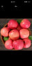 桃李村陕西洛川水晶红富士冰糖心苹果新鲜苹果水果当季整箱生鲜团购送礼 2斤 晒单实拍图
