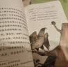 稻草人+安徒生童话+格林童话（升级版）人教版快乐读书吧三年级必读 课外阅读 上册套装（含音频资源）与新教材配套使用（共3册） 实拍图