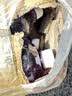去油膜玻璃水汽车强力去污去虫胶四季通用挡风玻璃清洁剂抗寒防冻 4瓶【强去油膜】玻璃水 -40度 实拍图