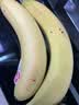 佳农 超甜香蕉800g 实拍图