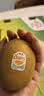 佳沛（zespri）新西兰金奇异果10粒巨大果146-175g猕猴桃水果礼盒 实拍图