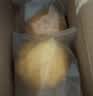 比比赞（BIBIZAN）蛋皮肉松汉堡280g营养学生早餐饱腹夹心面包蛋糕点心休闲零食品 实拍图