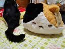 婴果小岛正版趴趴猫咪抱枕小猫玩偶睡觉抱毛绒可爱公仔圣诞节生日礼物女生 花花小猫 50cm【正版联名】 实拍图