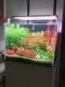 尼特利1号大师水草泥鱼缸专用水藻泥生态草缸底砂营养土8L/袋  实拍图