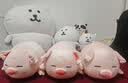 名创优品（MINISO）小猪B-BO玩偶抱枕娃娃公仔抱睡生日礼物女学生午睡枕趴趴bobo猪 实拍图