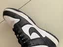 耐克NIKE男休闲板鞋 DUNK 运动鞋HF5441-100黑白43 实拍图