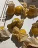 京觅东北姑娘果 净重2斤装 灯笼果黄菇娘洋菇茑 新鲜水果 源头直发 实拍图