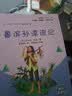快乐读书吧六年级下册指定阅读：鲁滨孙漂流记+汤姆索亚历险记+骑鹅旅行记(套装共3册）课外阅读书必读 开学季 实拍图
