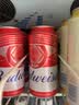百威【梅西同款】经典红罐啤酒450ml*18罐整箱装京东自营 实拍图