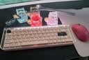 MelGeek小蜜蜂MADE68PRO+磁轴键盘 电竞游戏客制化机械键盘无畏契约TTC万磁王轴礼物送男女友办公蜜氪 MADE68Pro+甜莓粉【万磁王PRO轴】 实拍图