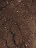 漫生活16L天南星科营养土养花花肥园艺种植土有机花土肥料盆栽绿植土壤 实拍图