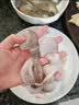 美加佳三去小章鱼净重2斤（500g*2袋）16-26只 去脏八爪鱼火锅聚餐 实拍图