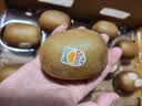 佳沛（zespri）新西兰 金奇异果特大果15粒134-146g猕猴桃水果礼盒 实拍图