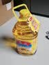 鲁花 食用油 物理压榨 葵花仁油6.18L  实拍图