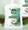 滴露（Dettol）洗手液液体经典松木500g+500g补充装儿童家庭护手替换 实拍图