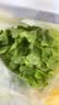 【烧烤季】钟灵山罗马生菜400g 实拍图