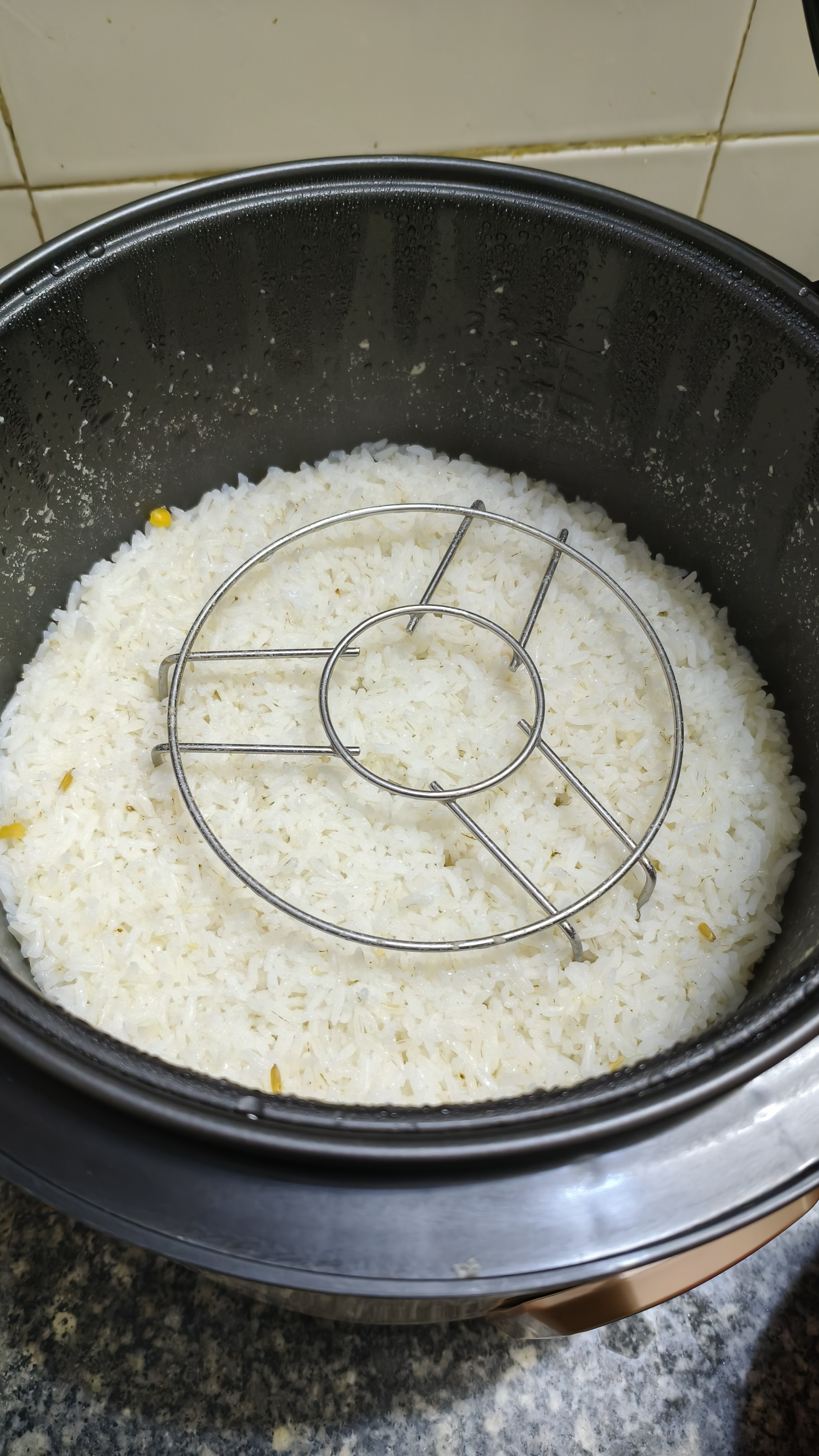 半球（PESKOE） 电饭煲家用白领单身宿舍用西施煲电饭锅不粘锅内胆电煮煲家用电饭煲小型电饭煲 5L容量 （升级款） 5L 实拍图