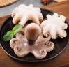 美加佳三去小章鱼净重2斤（500g*2袋）16-26只 去脏八爪鱼火锅聚餐 实拍图