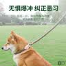 加仕高宠物P链M号 狗狗牵引绳狗绳狗链项圈中小型犬狗狗外出遛训犬狗带 实拍图