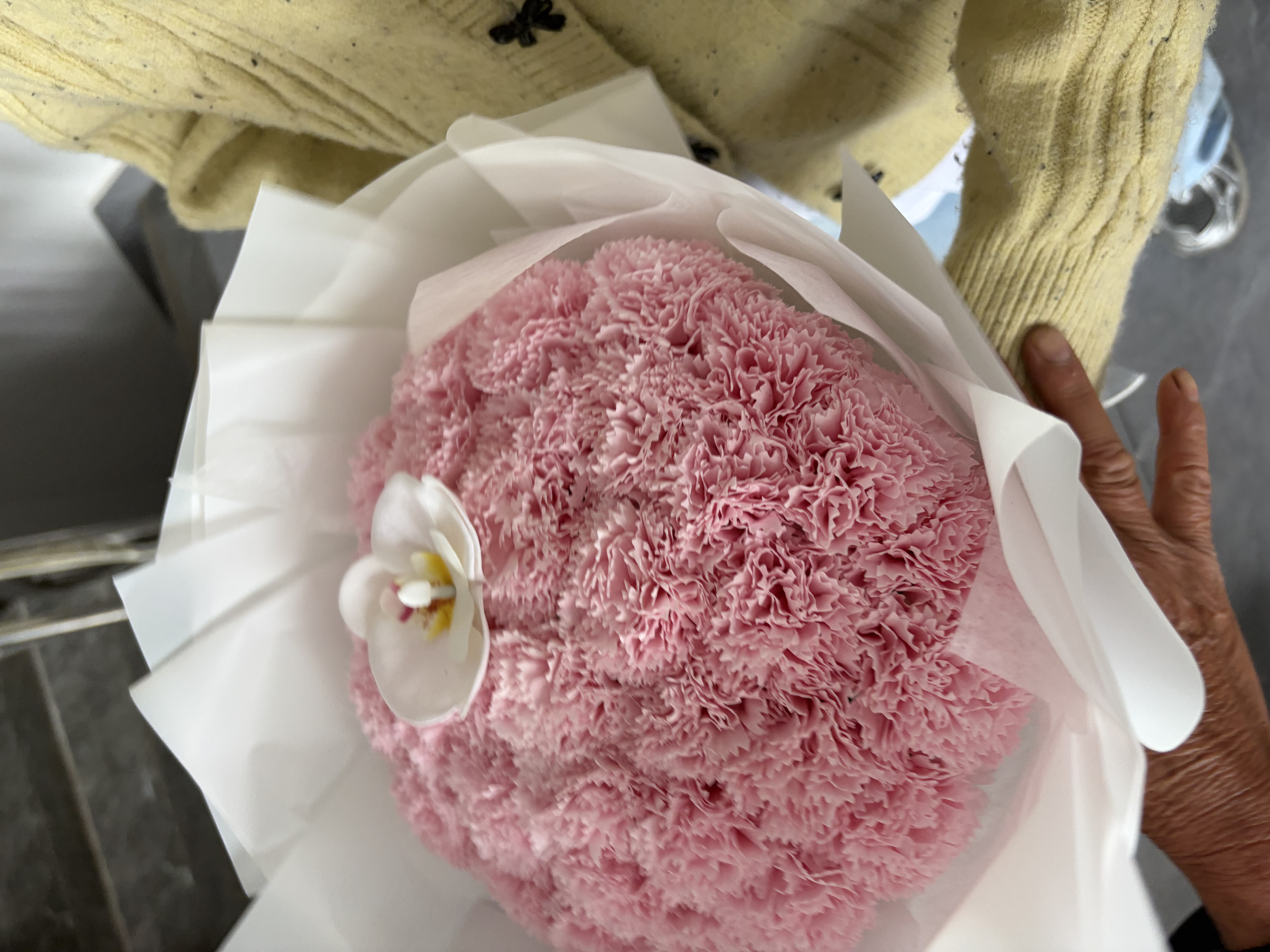 花时间碎冰蓝玫瑰花干花束送礼永生花仿真花情人节送女友氛围感生日礼物 【月落微沉】33朵康乃馨 实拍图