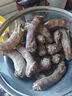 1号会员店（One's Member） 鸭脖组合1.1kg （精选鸭脖2斤+老卤汁100g）卤鸭脖烧烤食材 实拍图