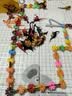 乐哲雪花片积木拼装儿童益智玩具3-6-12岁幼儿园拼插生日礼物 实拍图