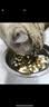 LEGENDSANDY蓝氏猫零食主食猫条鲜肉猫湿粮混合口味36支*5盒 实拍图