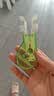 圣菲小象儿童唇肌训练器呼吸矫正张嘴睡觉闭口神器纠正腺样体肥大面容防凸 实拍图