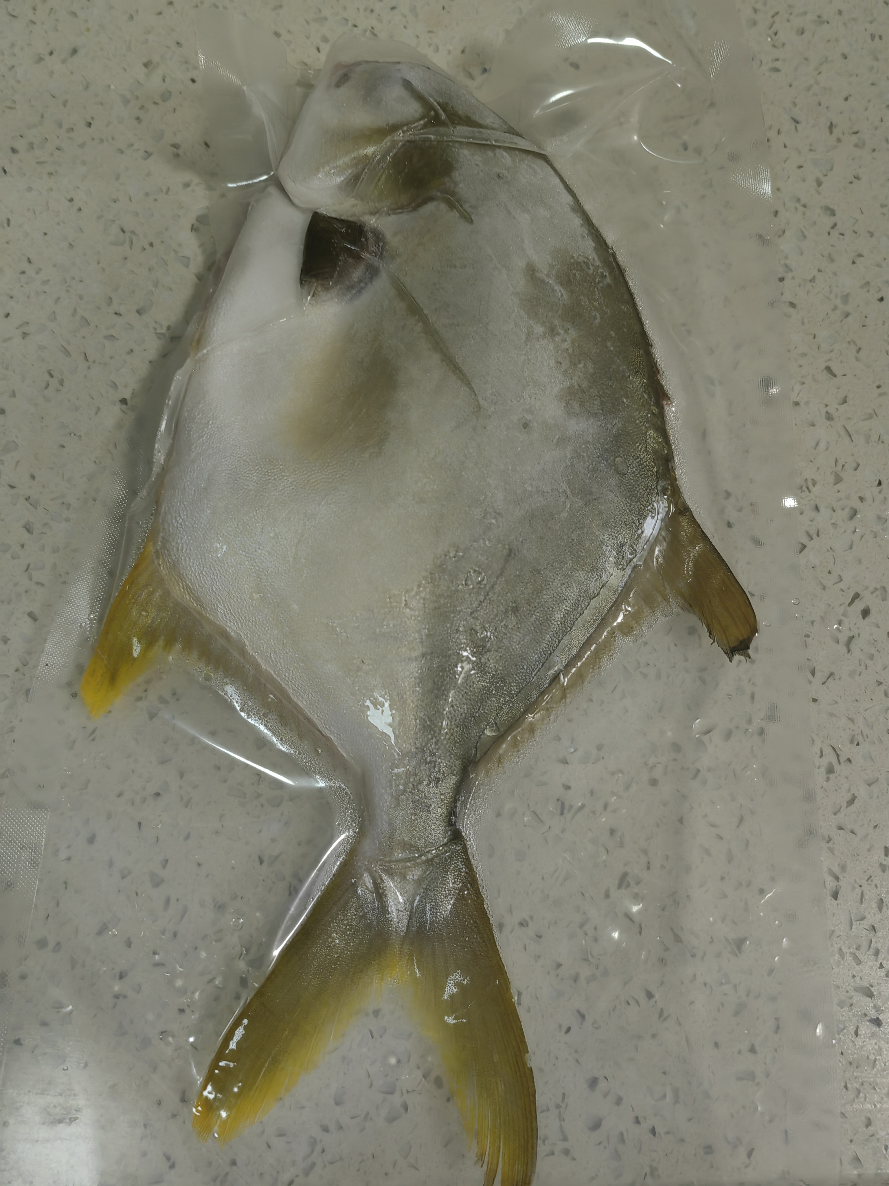 翔泰海南二去金鲳鱼700g/2条 去鳃去内脏生鲜鱼类 海鲜水产 实拍图