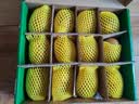 佳沛（zespri）新西兰  阳光金奇异果12粒特大果单果124-146g 猕猴桃 实拍图