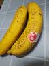 佳农厄瓜多尔进口香蕉净重4斤（约10-12根）单根蕉 生鲜水果送礼 实拍图