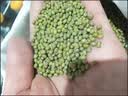方家铺子中华老字号 绿豆2斤 可发豆芽打豆浆东北五谷杂粮 无铁豆粗粮 实拍图