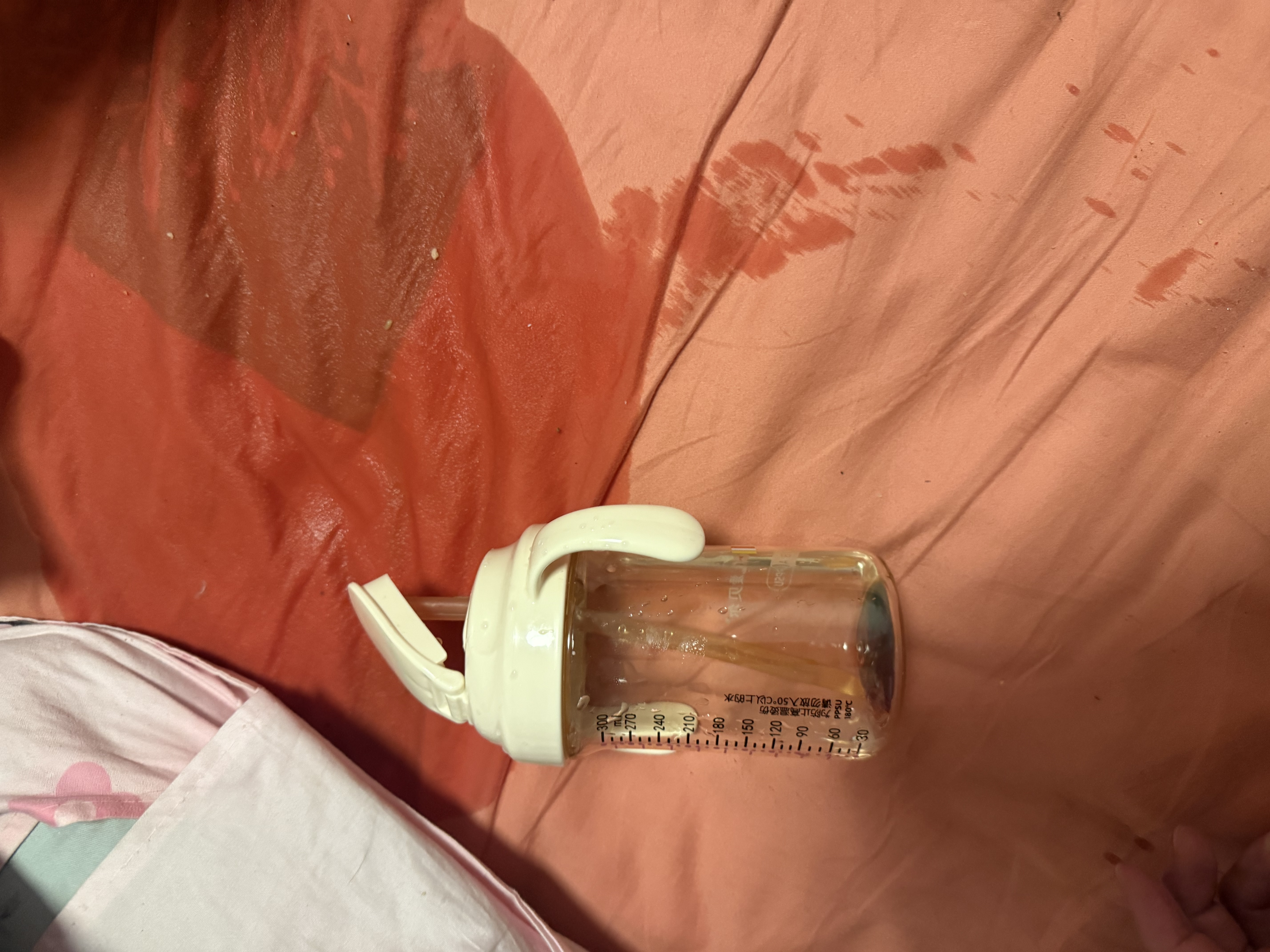 爱贝尔PPSU直饮吸管杯婴幼儿喝水喝奶学饮水杯宝宝防摔翻盖奶瓶 实拍图