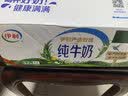 伊利【新鲜日期】纯牛奶苗条装 200ml*24盒 3.2g优质乳蛋白 实拍图