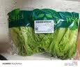 【烧烤季】钟灵山罗马生菜400g 实拍图