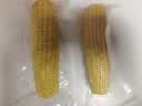 京鲜生东北黄糯玉米300g*8棒 甜黏玉米低脂早餐代餐粗粮真空装 源头直发 实拍图