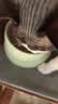 LEGENDSANDY蓝氏全价猫粮生鲜高能系列成猫幼猫 试用 试吃 猎鸟乳鸽 50g*5 实拍图