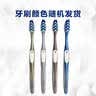 欧乐B精准多角度牙刷舌苔刷小宽头按摩牙龈软毛成人牙刷双支装颜色随机 实拍图