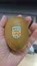 佳沛（zespri）新西兰金奇异果10粒巨大果146-175g猕猴桃水果礼盒 实拍图