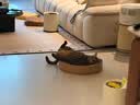 霍尼韦尔（Honeywell）宠物空气净化器吸猫毛除过敏源猫猫搭子 猫毛净化器杀菌消毒除异味KJ360F-C22W 实拍图